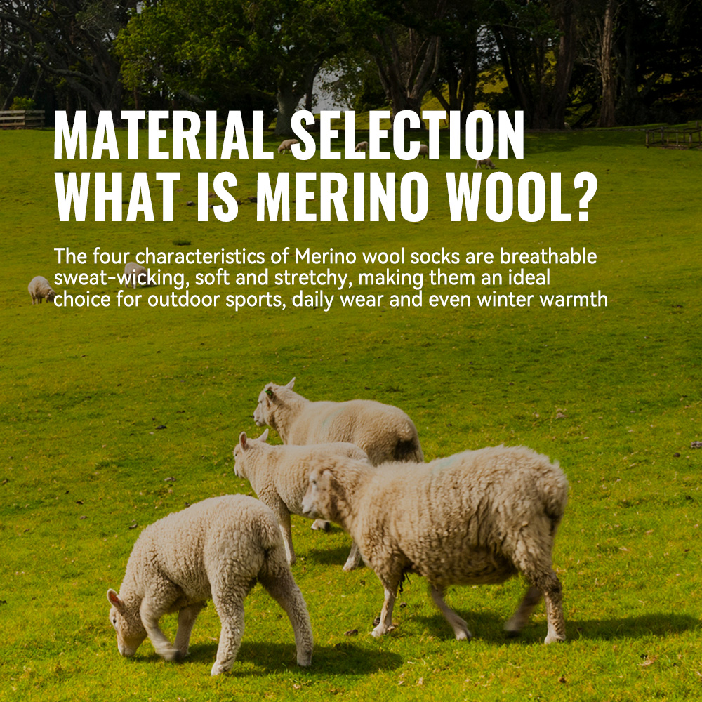 WRELS 1/2/3 Merino Wool Socks  - Thermal Sock Winter 리뷰 및 가격